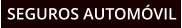SEGUROS AUTOMVIL